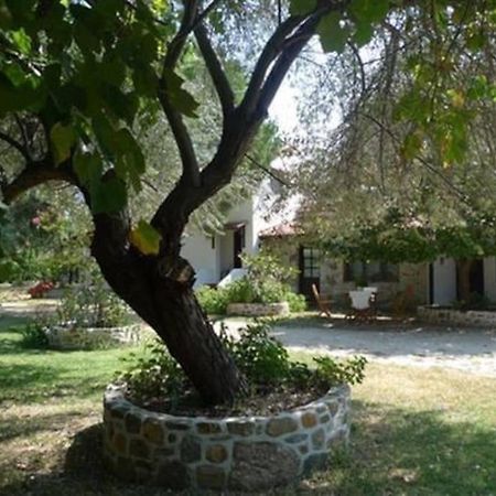 Traditionelles Appartement Athos Shadow Am Meer Paralia Sikias 外观 照片