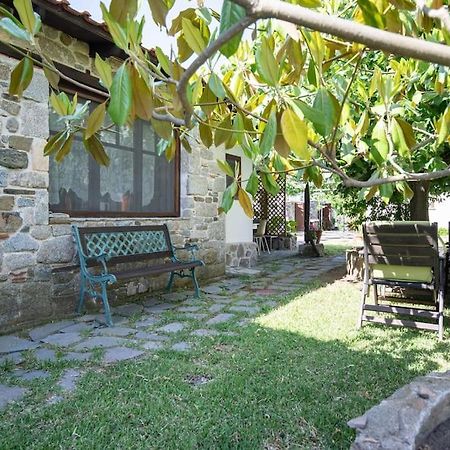 Traditionelles Appartement Athos Shadow Am Meer Paralia Sikias 外观 照片