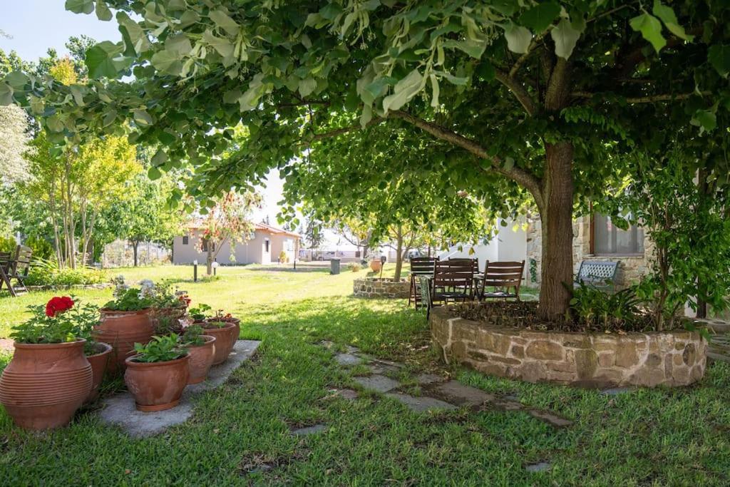 Traditionelles Appartement Athos Shadow Am Meer Paralia Sikias 外观 照片