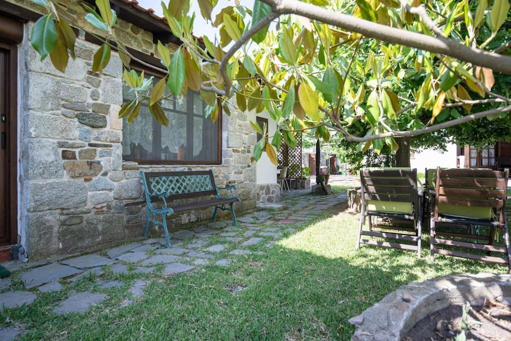 Traditionelles Appartement Athos Shadow Am Meer Paralia Sikias 外观 照片