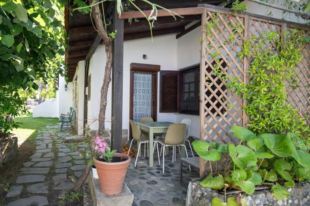 Traditionelles Appartement Athos Shadow Am Meer Paralia Sikias 外观 照片