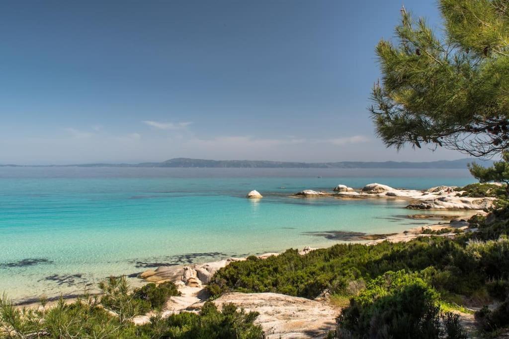 Traditionelles Appartement Athos Shadow Am Meer Paralia Sikias 外观 照片