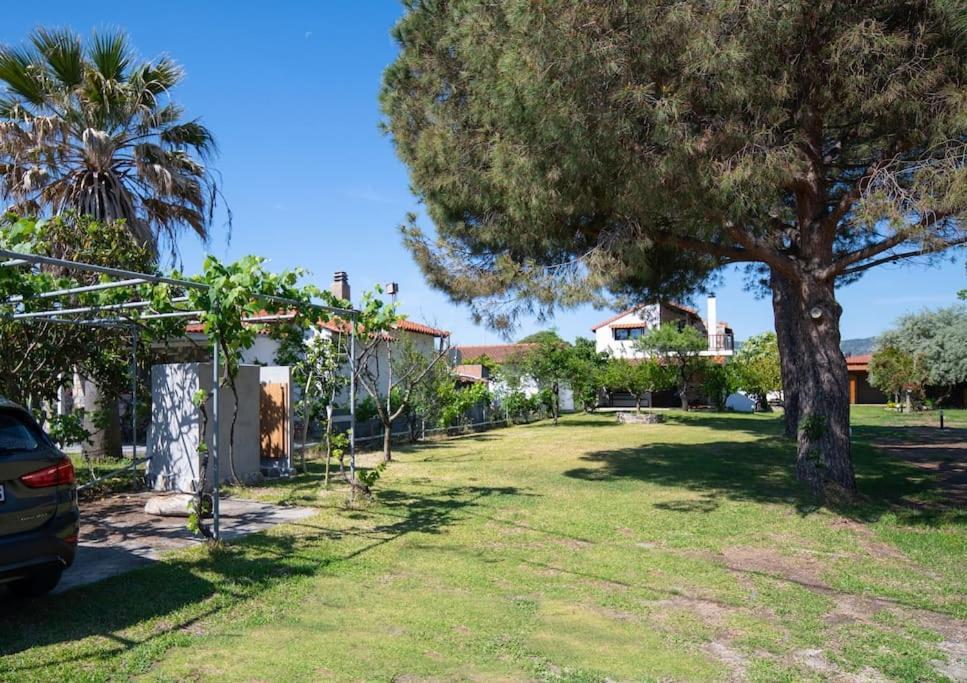 Traditionelles Appartement Athos Shadow Am Meer Paralia Sikias 外观 照片
