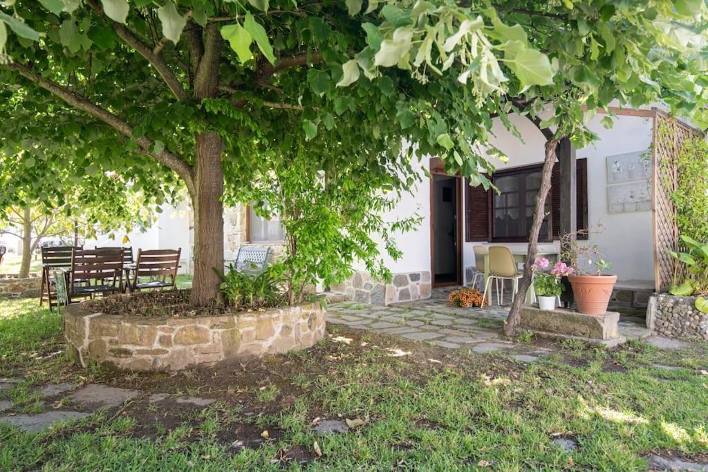 Traditionelles Appartement Athos Shadow Am Meer Paralia Sikias 外观 照片