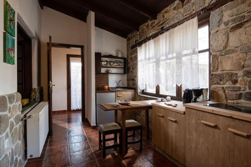 Traditionelles Appartement Athos Shadow Am Meer Paralia Sikias 外观 照片