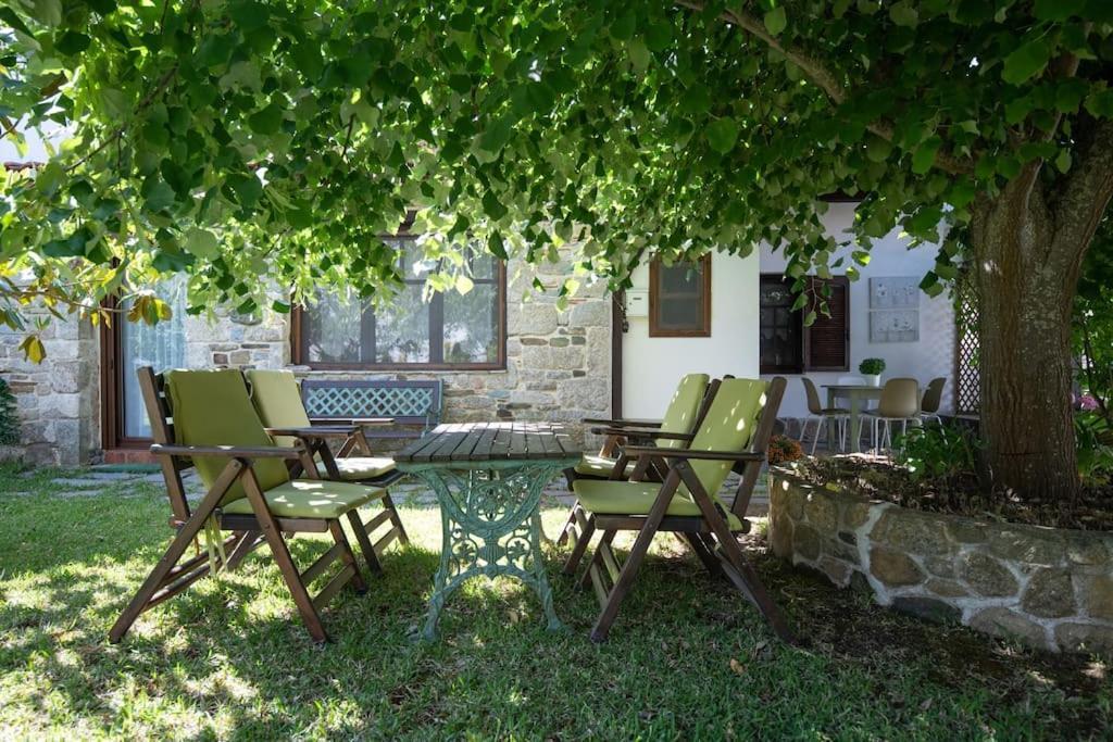 Traditionelles Appartement Athos Shadow Am Meer Paralia Sikias 外观 照片