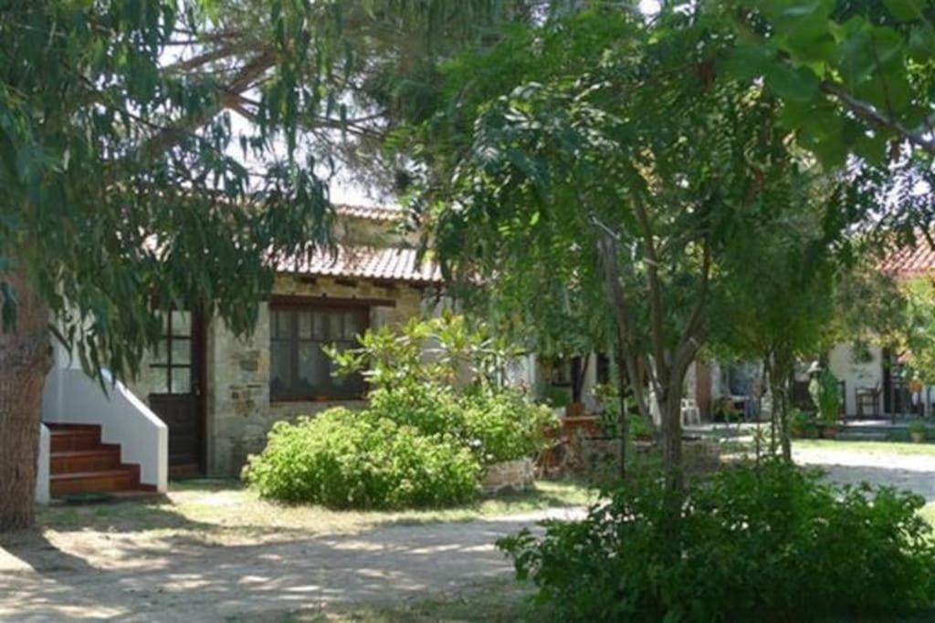 Traditionelles Appartement Athos Shadow Am Meer Paralia Sikias 外观 照片