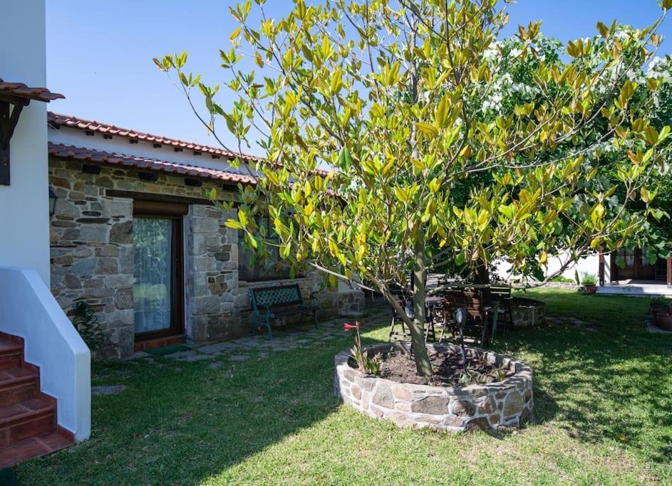 Traditionelles Appartement Athos Shadow Am Meer Paralia Sikias 外观 照片