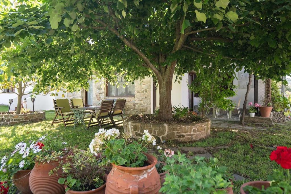 Traditionelles Appartement Athos Shadow Am Meer Paralia Sikias 外观 照片