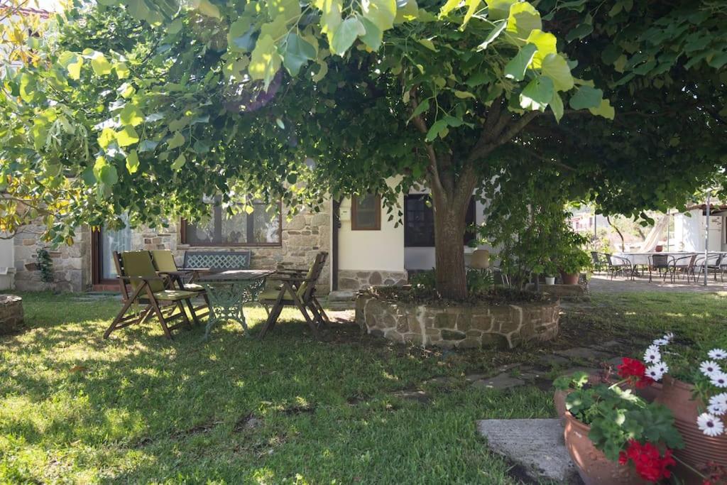 Traditionelles Appartement Athos Shadow Am Meer Paralia Sikias 外观 照片