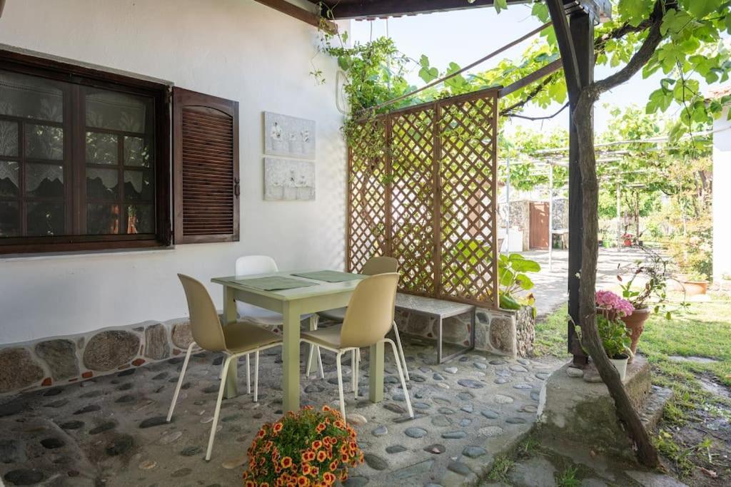 Traditionelles Appartement Athos Shadow Am Meer Paralia Sikias 外观 照片