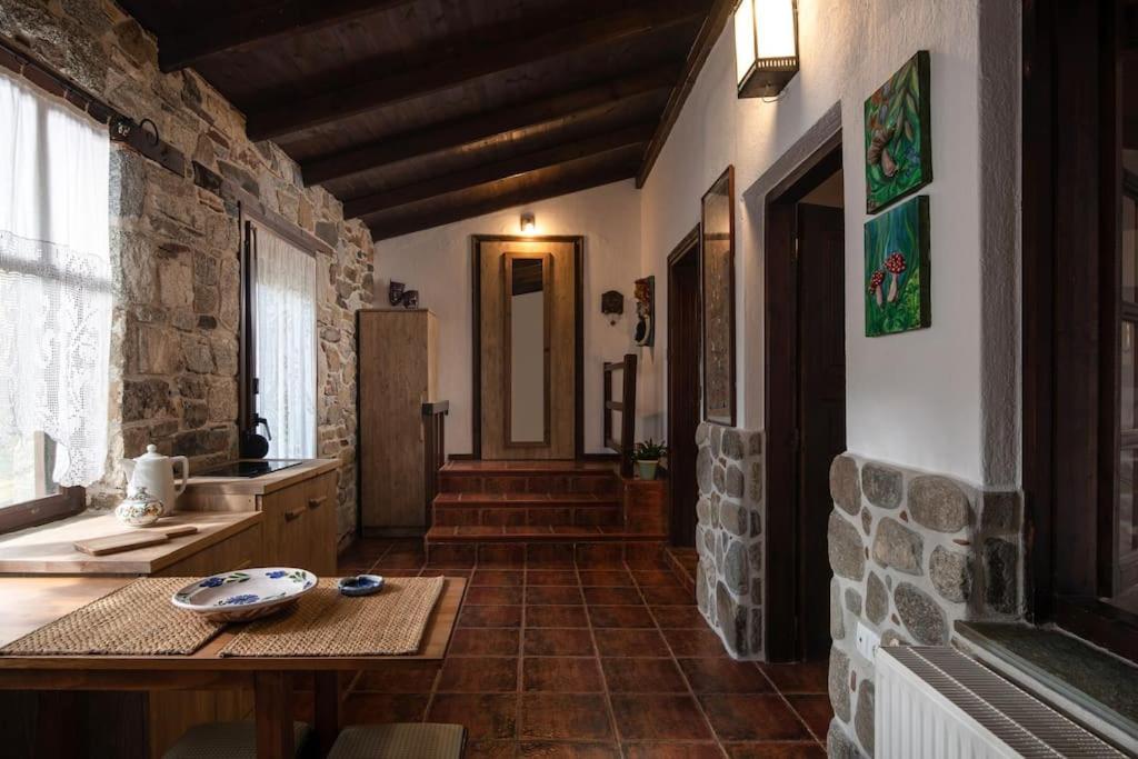 Traditionelles Appartement Athos Shadow Am Meer Paralia Sikias 外观 照片