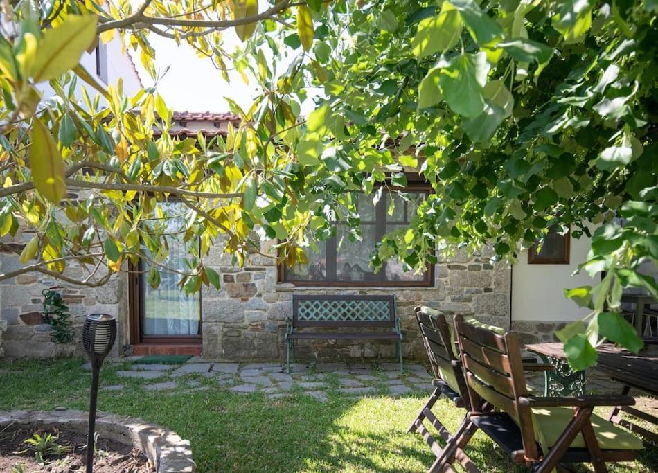 Traditionelles Appartement Athos Shadow Am Meer Paralia Sikias 外观 照片